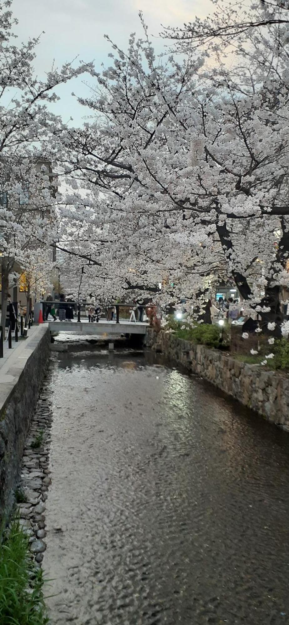 Izutsu Hotel Takasegawa Kioto Zewnętrze zdjęcie