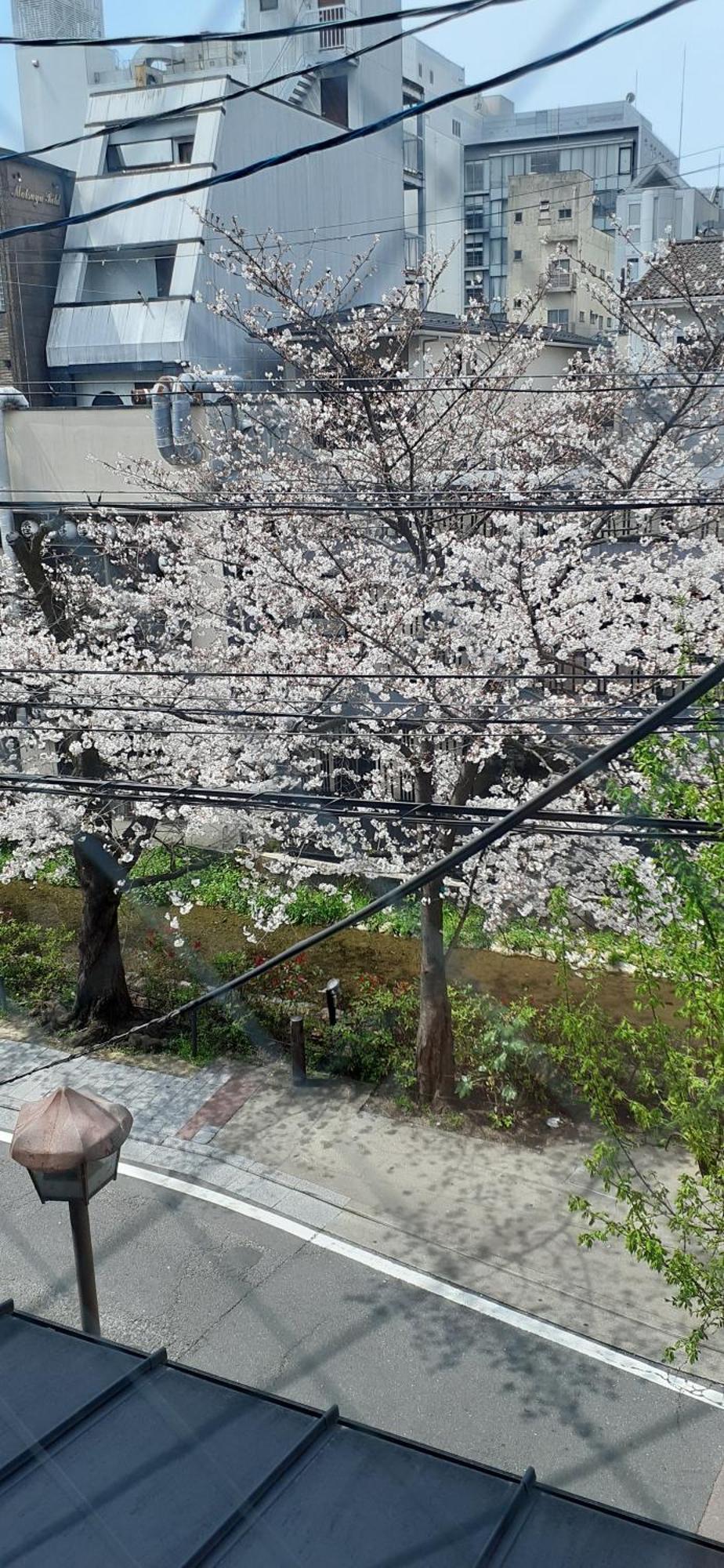Izutsu Hotel Takasegawa Kioto Zewnętrze zdjęcie