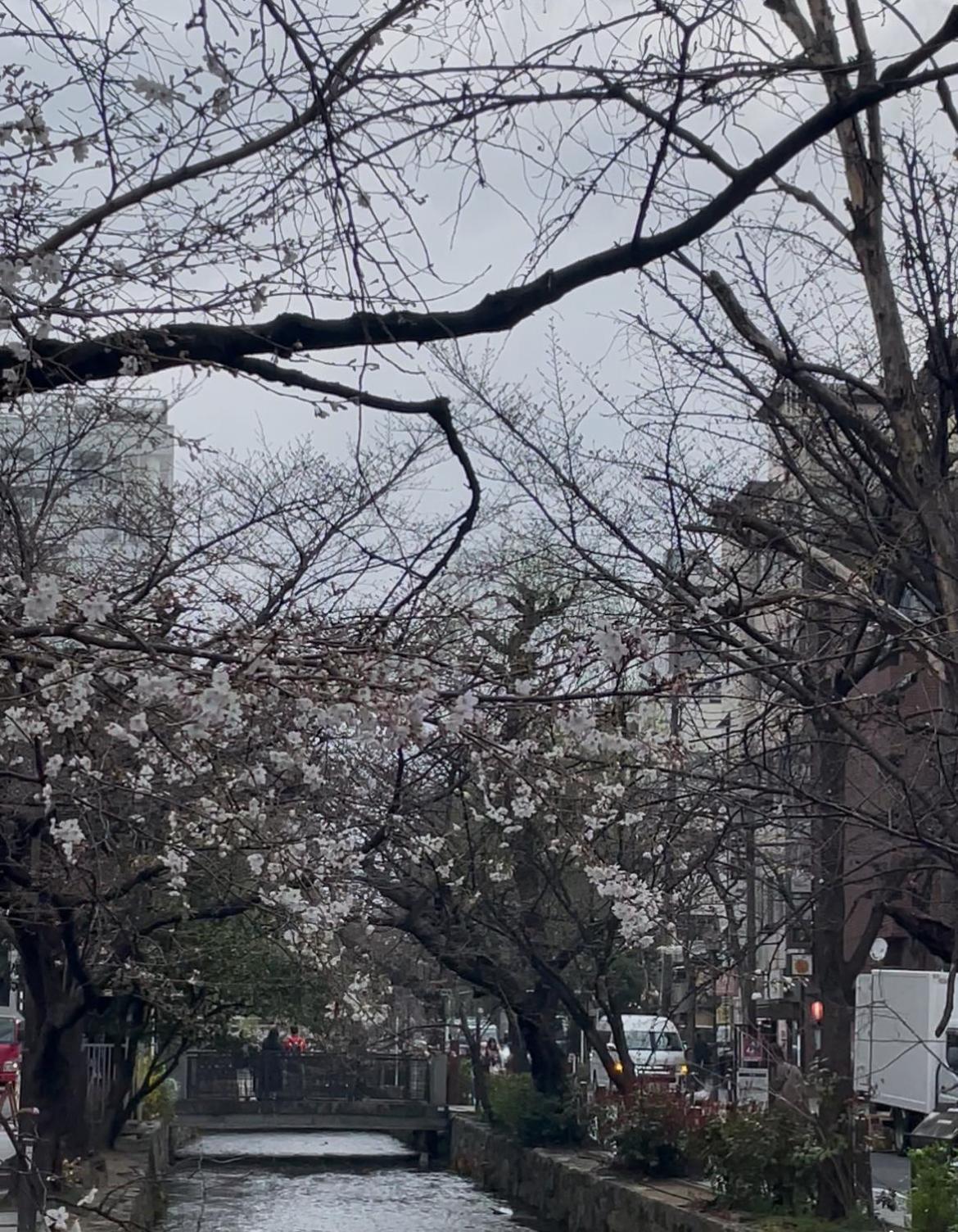 Izutsu Hotel Takasegawa Kioto Zewnętrze zdjęcie